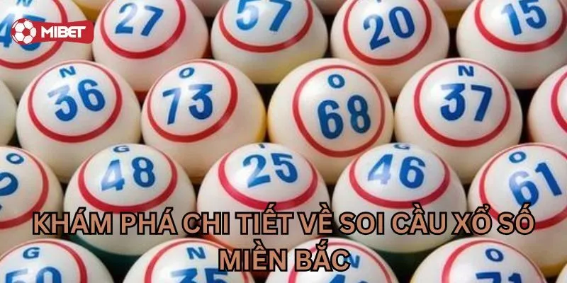 Khám phá chi tiết về Soi cầu Xổ Số Miền Bắc